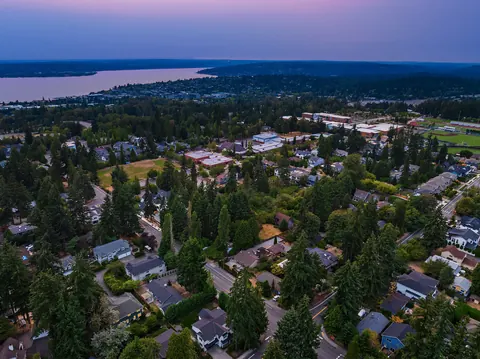Evergreen canopy of the neighborhood with Lake Washington beyond